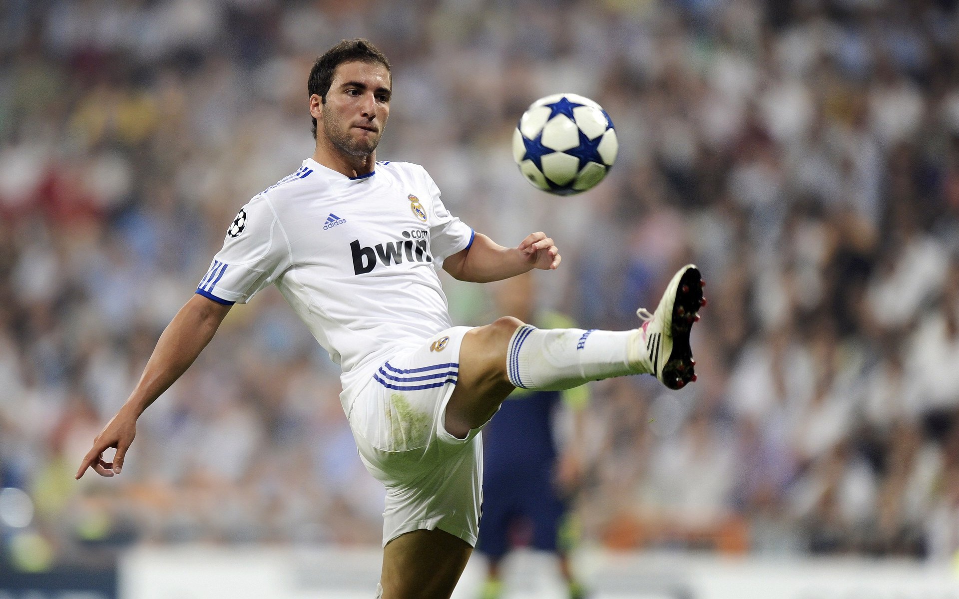 掘金外援首次亮相媒体日状态神勇，掘金引援